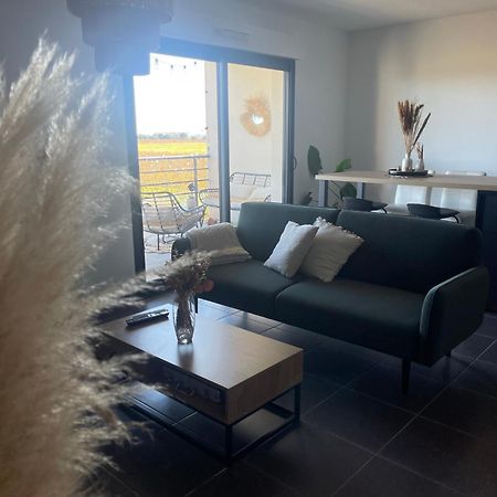 Appartement Vue Vigne Perpignan Exterior foto