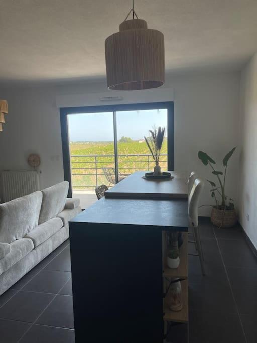 Appartement Vue Vigne Perpignan Exterior foto