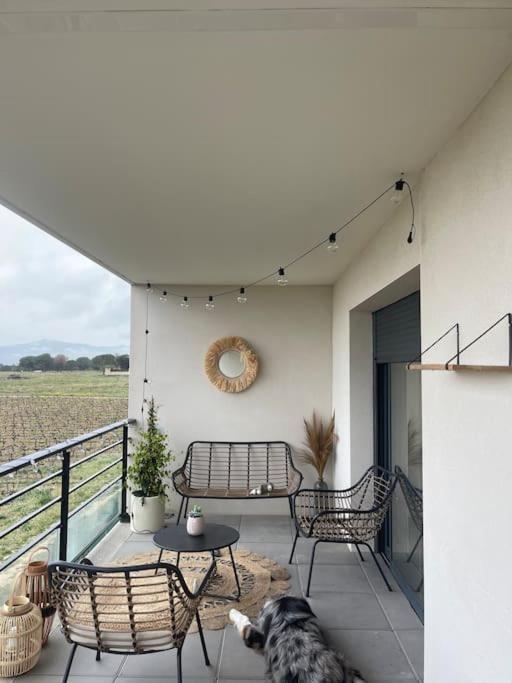 Appartement Vue Vigne Perpignan Exterior foto