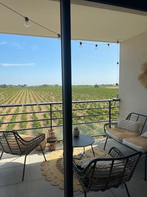Appartement Vue Vigne Perpignan Exterior foto