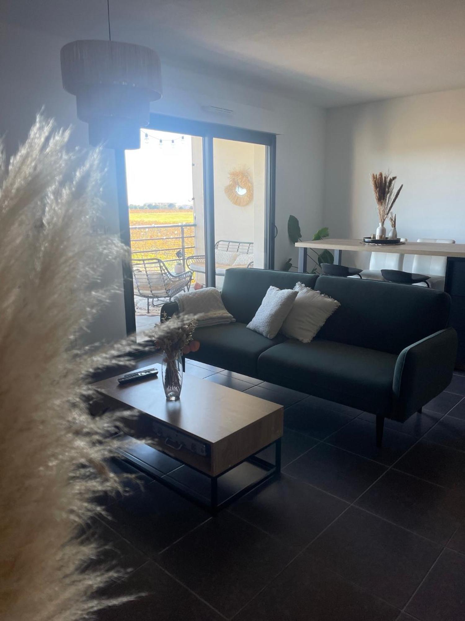 Appartement Vue Vigne Perpignan Exterior foto